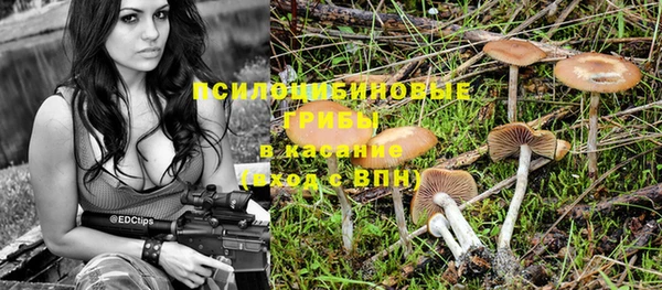 прущие крисы Алексин