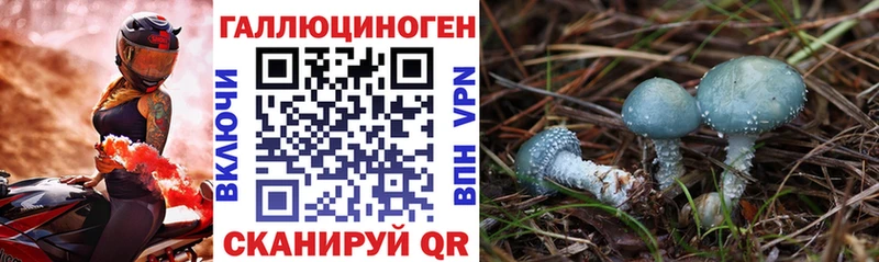 хочу   Алексин  Галлюциногенные грибы мухоморы 